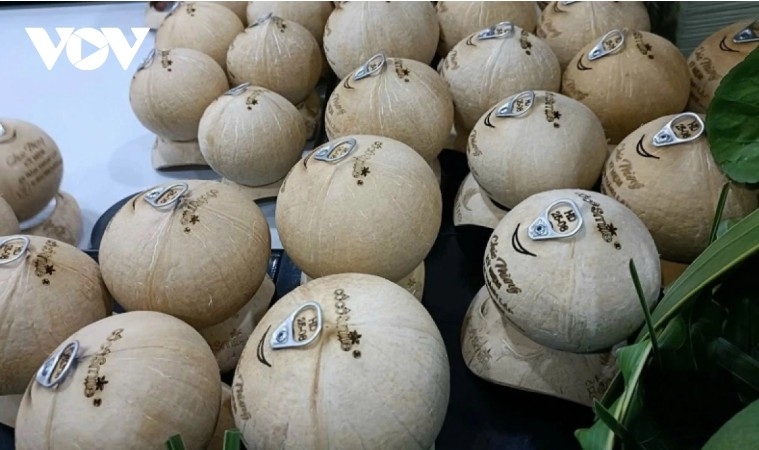Can Vietnam stay in the world’s top 5 for coconut exports?
